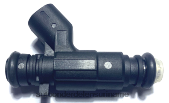 brandstofinjector 12571159 N2Z0L2039 voertuig motor onderdelen -